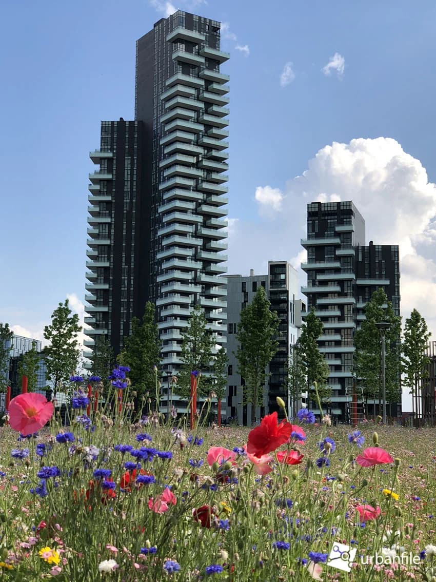 Einaudi Park